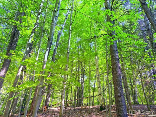 TBD Parcel A S Tracie Lane, Marquette, MI 49855