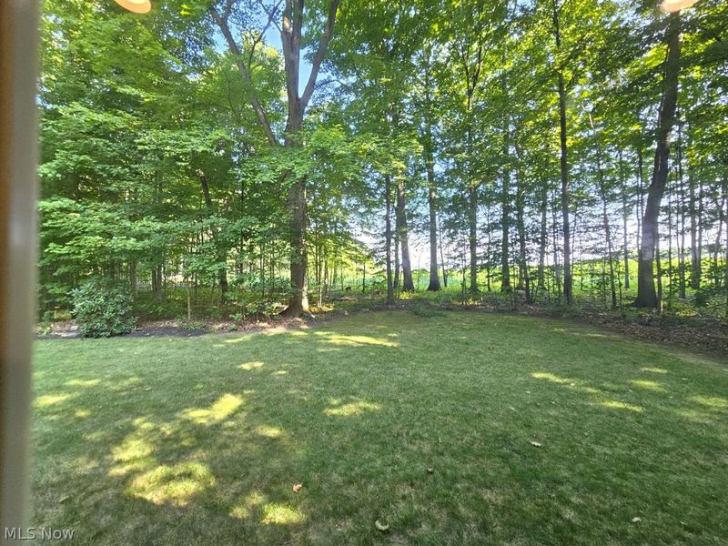 6970 Canaan Center Road, Wooster, OH 44691 Photo 42