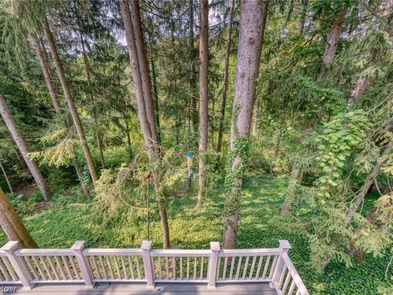 33526 N Deer Creek Lane, Pepper Pike, OH 44124 Photo 27