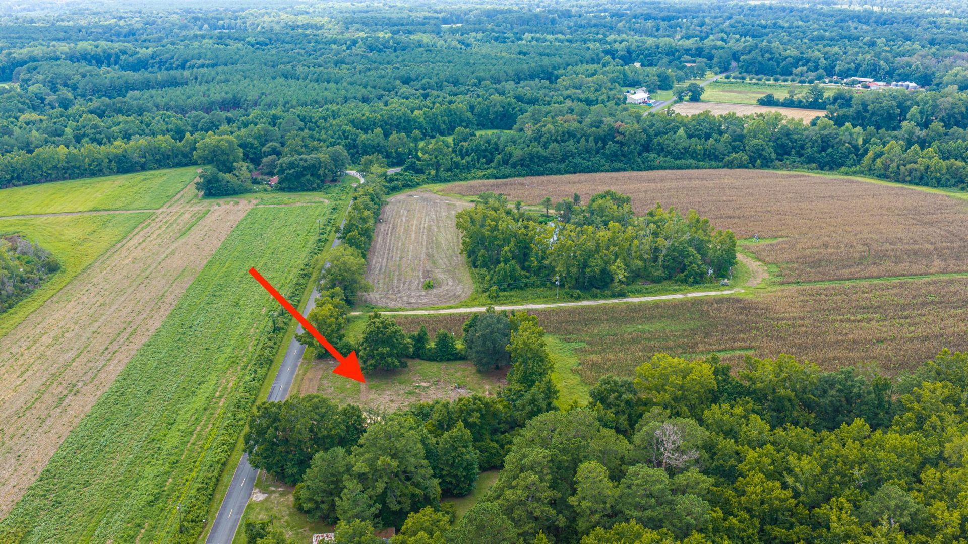 419 Old Bell Road Photo 43