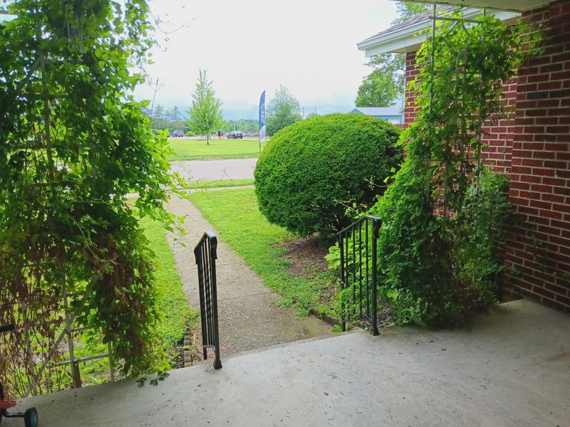 421 Main Street, Saint Paris, OH 43072 Photo 19