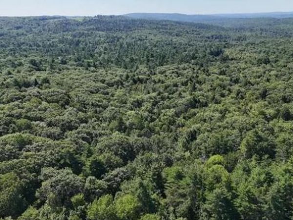 Lot 42-A Station Road, Hebron, ME 04238