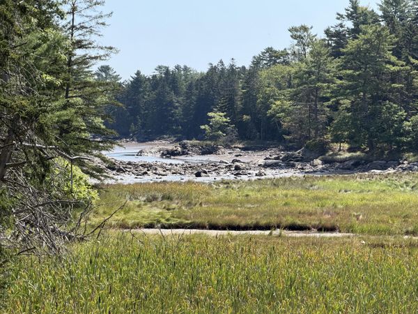59 Moyer Way , Gouldsboro, ME 04607