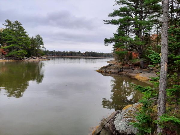 59 Moyer Way, Gouldsboro, ME 04607