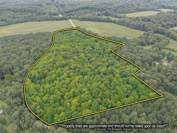 0 Utley Road , Camden, TN 38320