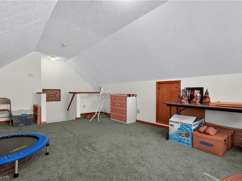 341 W Cedar Street, Jefferson, OH 44047 Photo 16