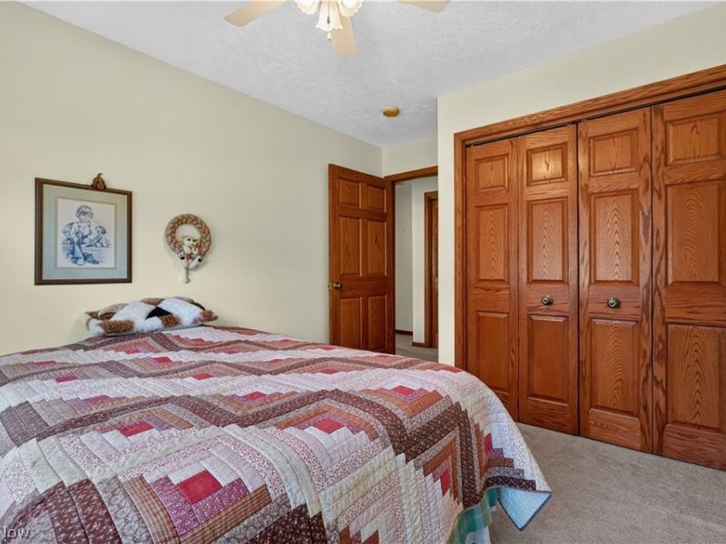 341 W Cedar Street, Jefferson, OH 44047 Photo 39
