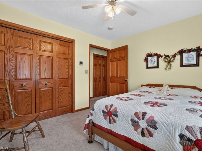341 W Cedar Street, Jefferson, OH 44047 Photo 41