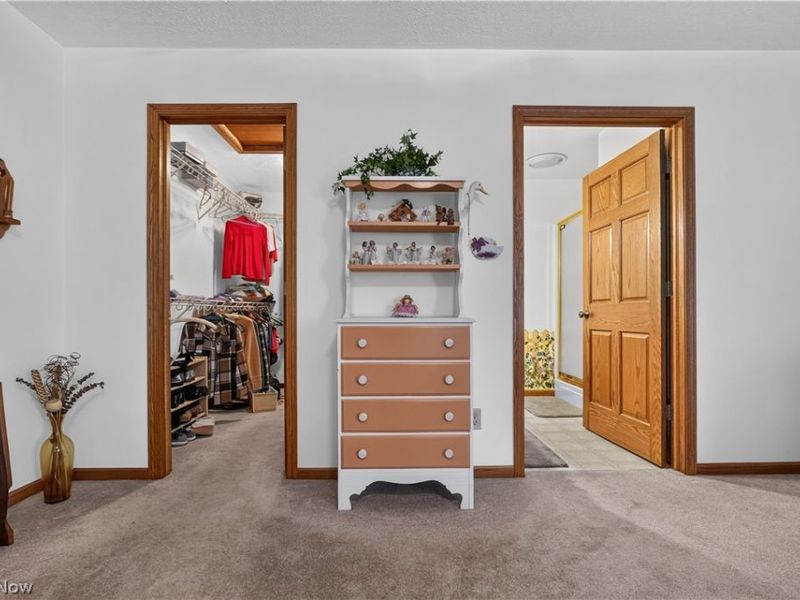 341 W Cedar Street, Jefferson, OH 44047 Photo 46