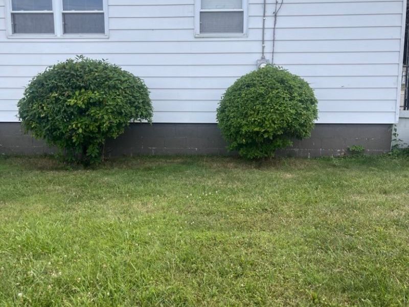1000 Beacon Street , Springfield, OH 45505 Photo 6