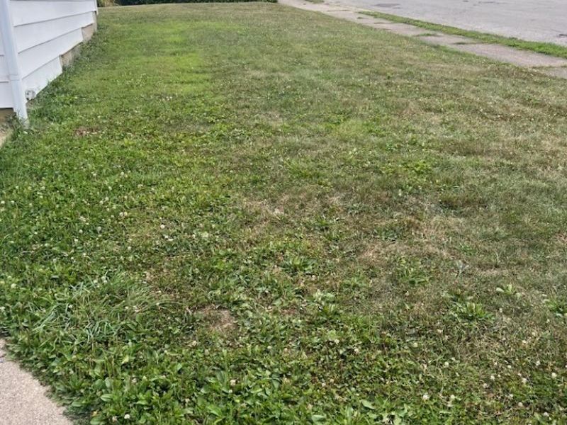 1000 Beacon Street , Springfield, OH 45505 Photo 7