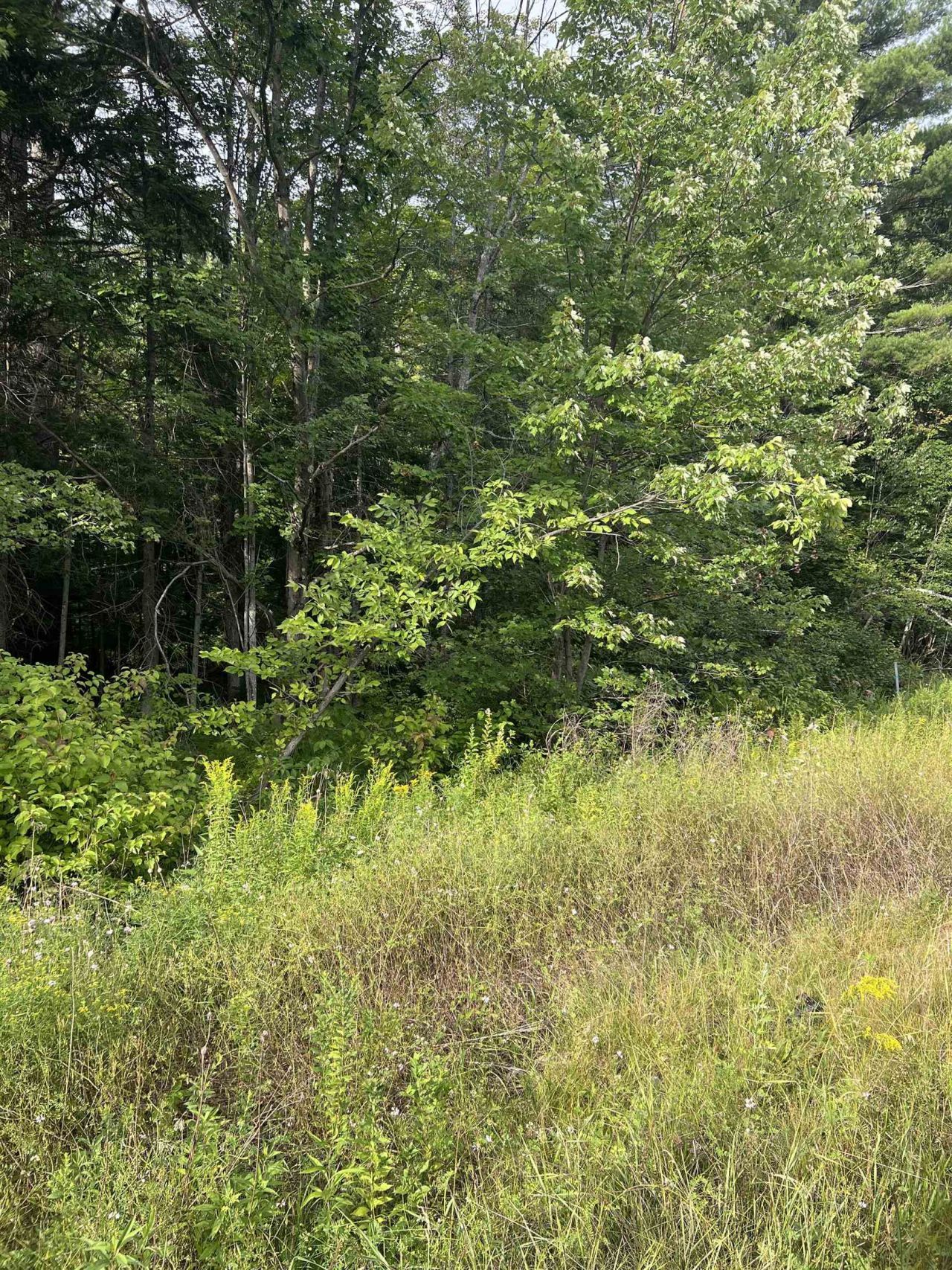0 Nh Route 4, Canaan, NH 03741 Main Photo