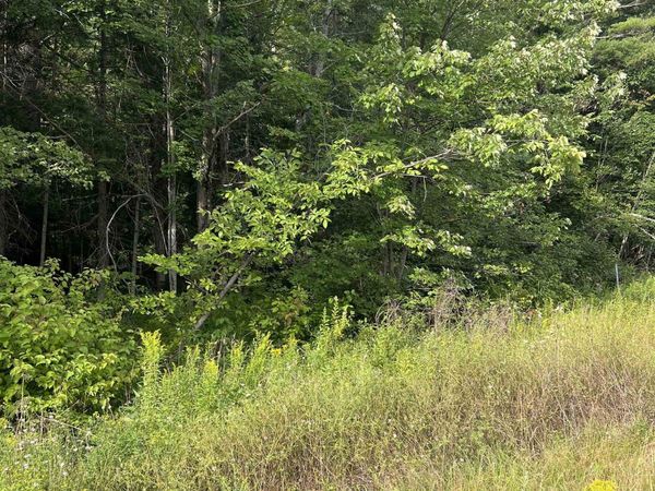 0 NH Route 4, Canaan, NH 03741