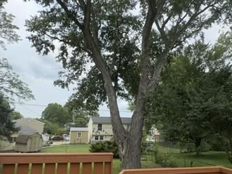 789 Forsythe Place, Mason, OH 45040 Photo 38