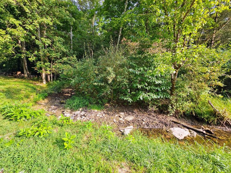 445 Elk Lake Resort Road, Unit 1421, Owenton, KY 40359 Photo 4