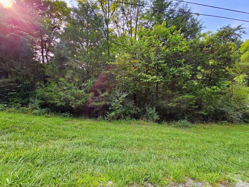 445 Elk Lake Resort Road, Unit 1421, Owenton, KY 40359 Photo 5