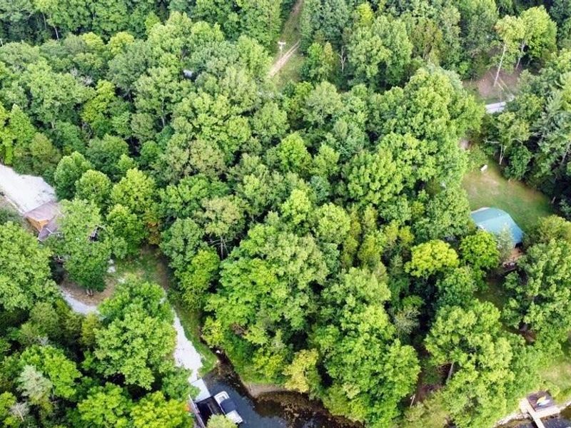 445 Elk Lake Resort Road, Unit 1421, Owenton, KY 40359 Photo 6