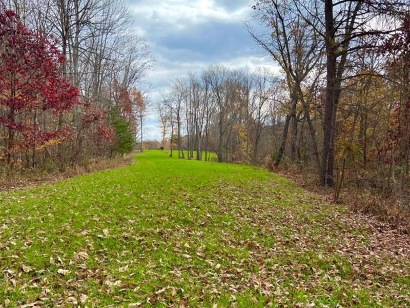 1584 Sherborne Road, Madison Township, OH 45648 Photo 49