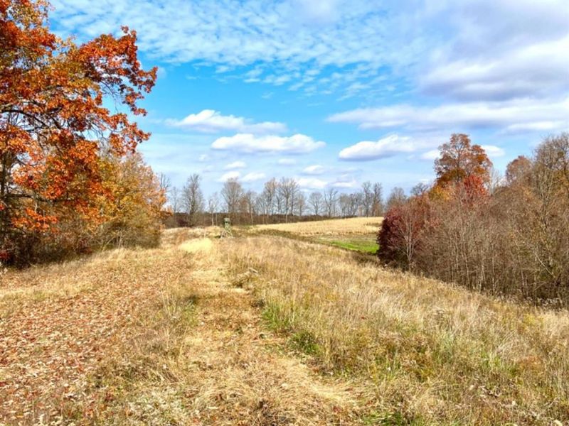 1584 Sherborne Road, Madison Township, OH 45648 Photo 60