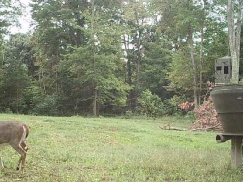 1584 Sherborne Road, Madison Township, OH 45648 Photo 75