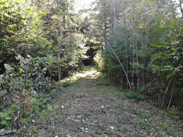 L8 Wrights Farm Road, Bolton Landing, NY 12814