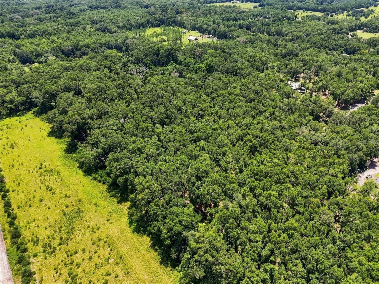 459 SW Bigfoot Court, Fort White, FL 32038 Photo