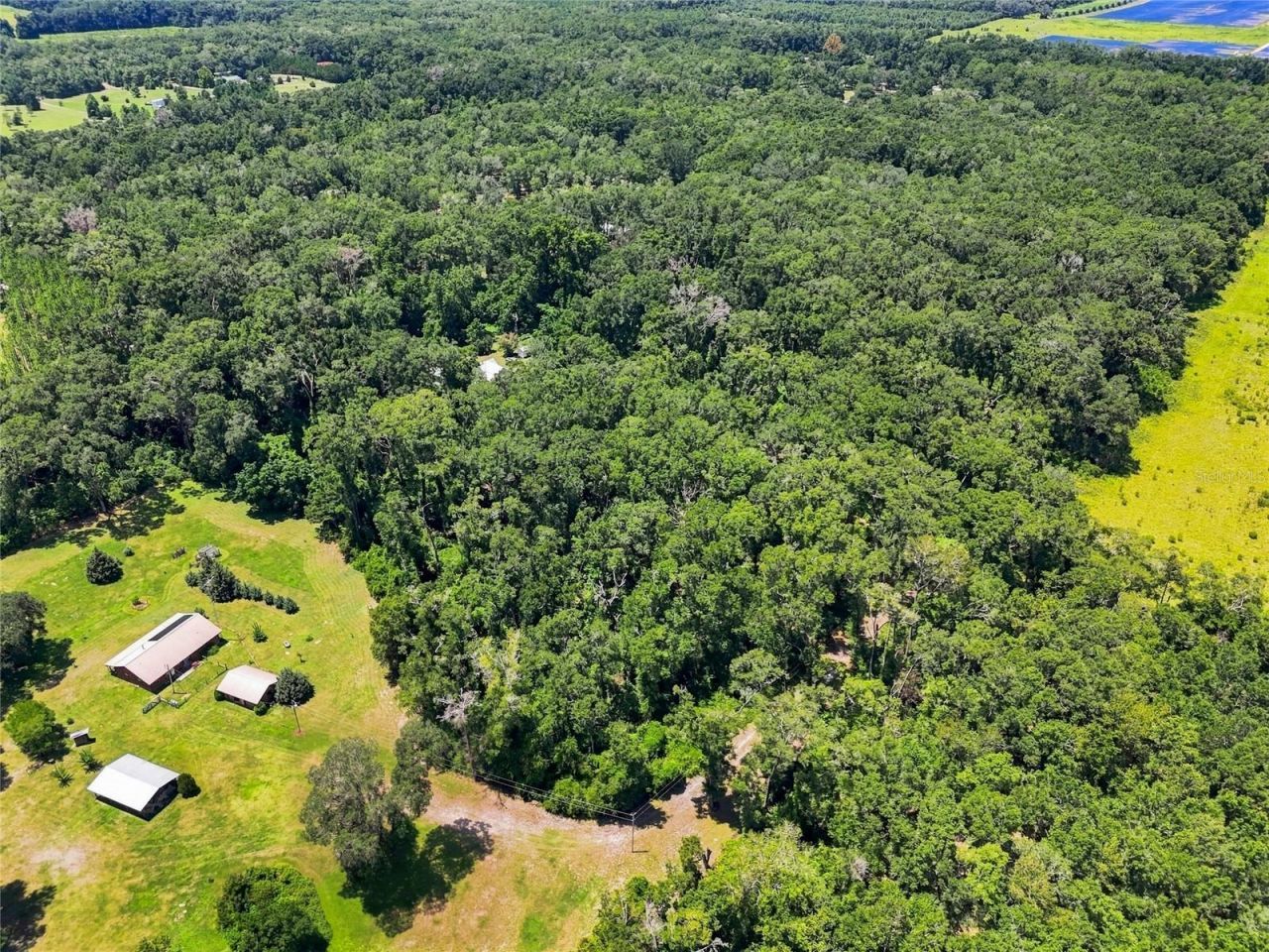 459 SW Bigfoot Court, Fort White, FL 32038 Photo