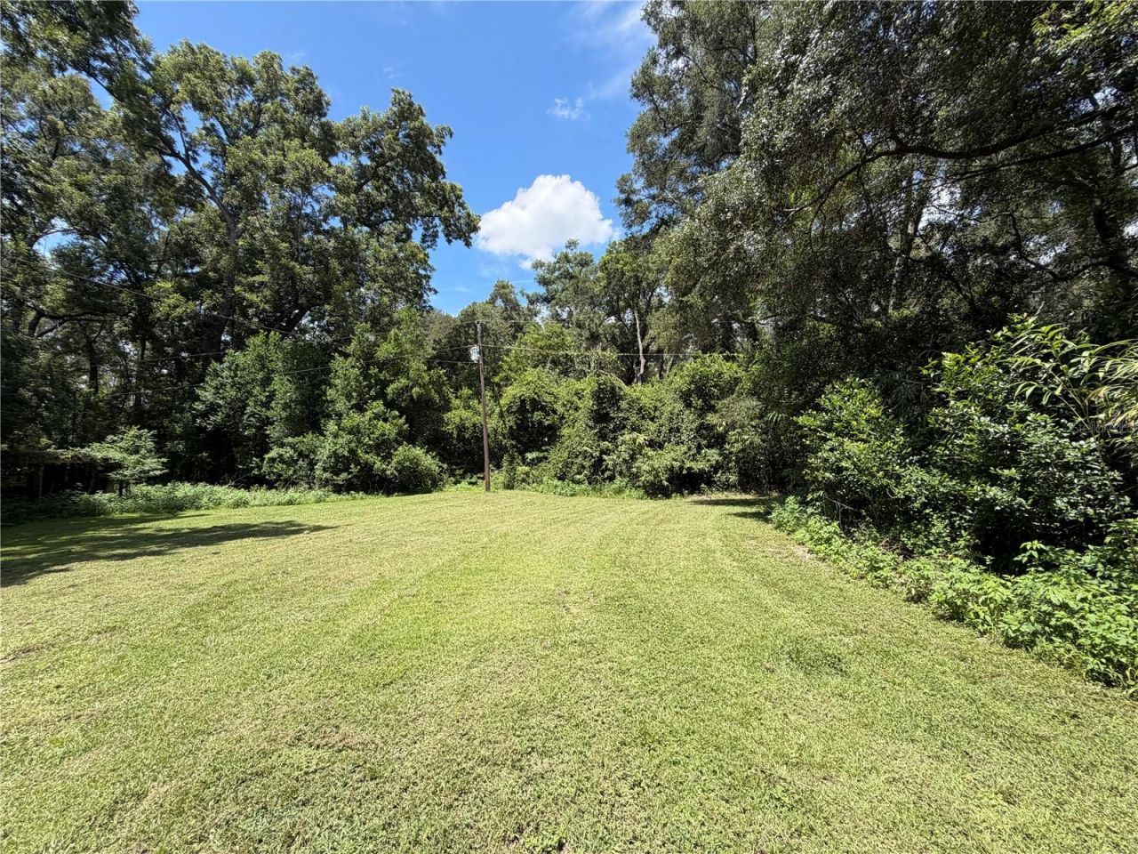 459 SW Bigfoot Court, Fort White, FL 32038 Photo