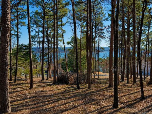 R4 Lakewood Dr , Edgemont, AR 72044