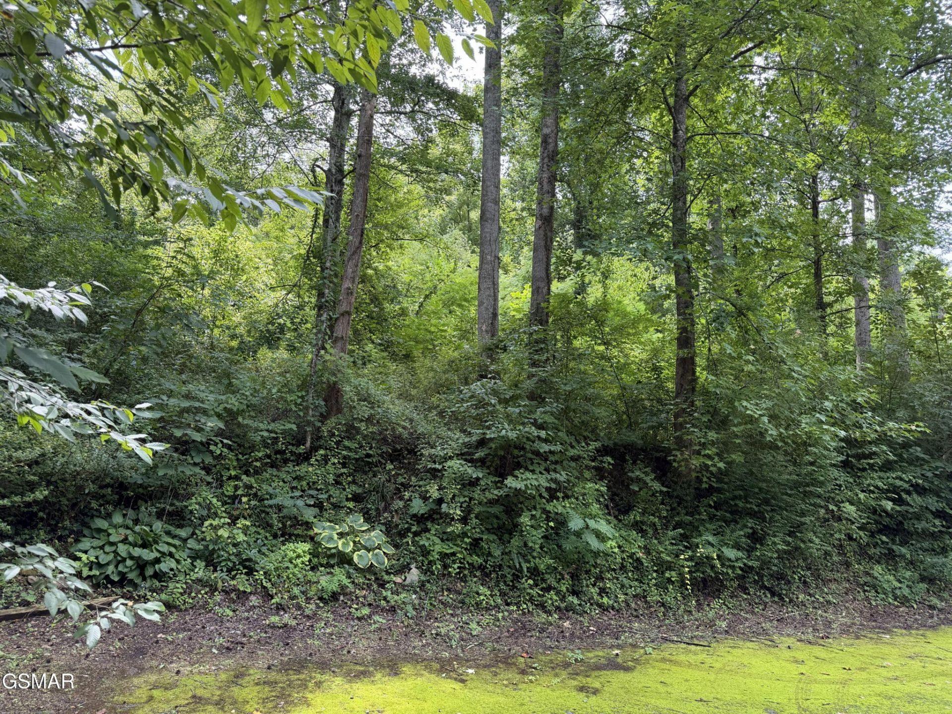 315 Hilltop Road, Lot #24, Gatlinburg, TN 37738 Main Photo