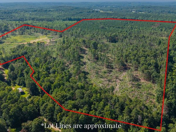 0 County Road 404, Unit TRACT 2, Heflin, AL 36264