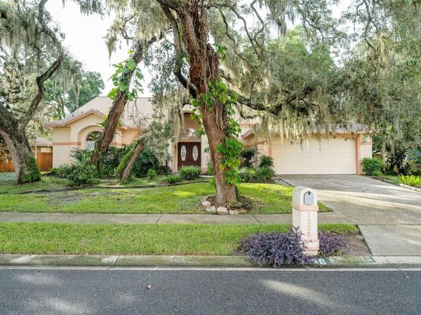 1336 WATERWOOD DRIVE , LUTZ, FL 33559