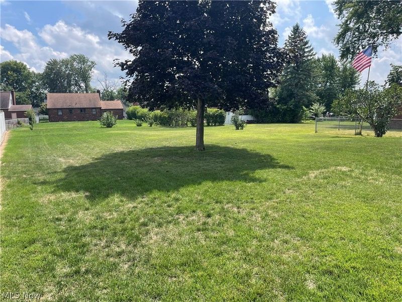 4536 Marcellus Street NW, Canton, OH 44708 Photo 4
