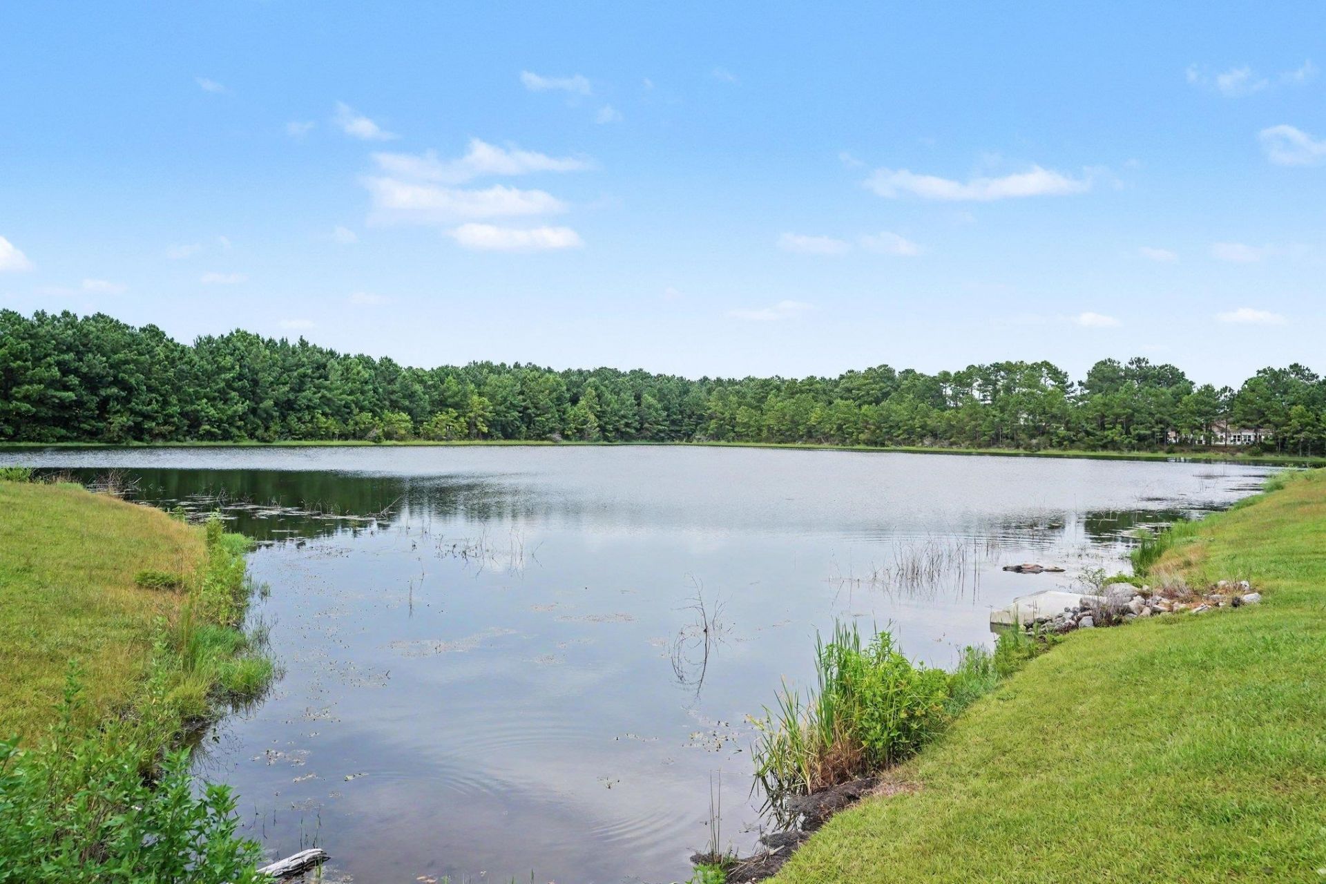 5015 Selene Ct. Photo 29