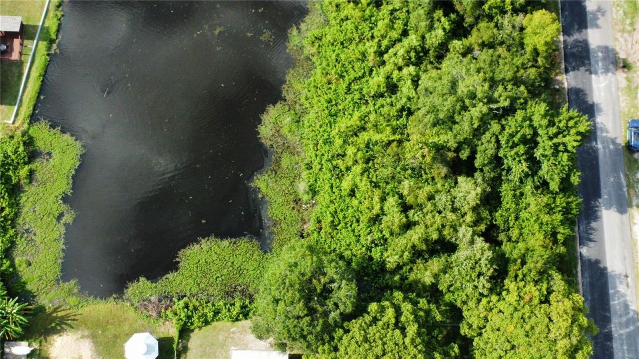 7949 Knight Drive, New Port Richey, FL 34653 Photo