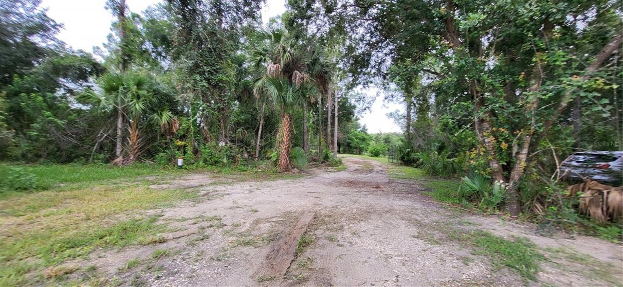 1685 E Osceola Road, Geneva, FL 32732 Photo