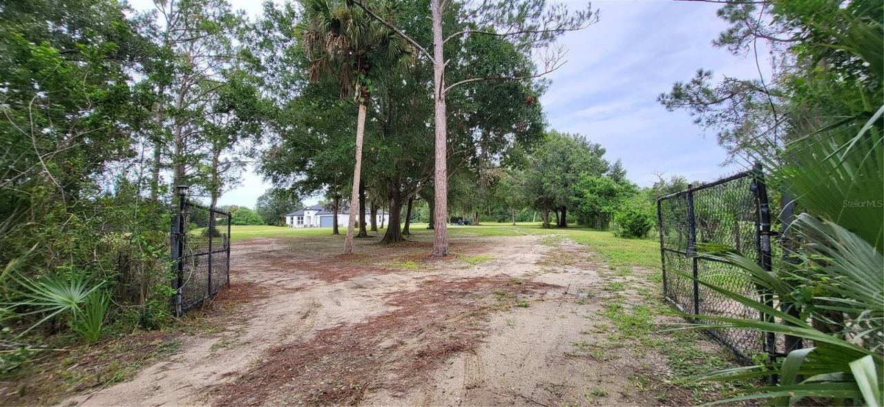 1685 E Osceola Road, Geneva, FL 32732 Photo