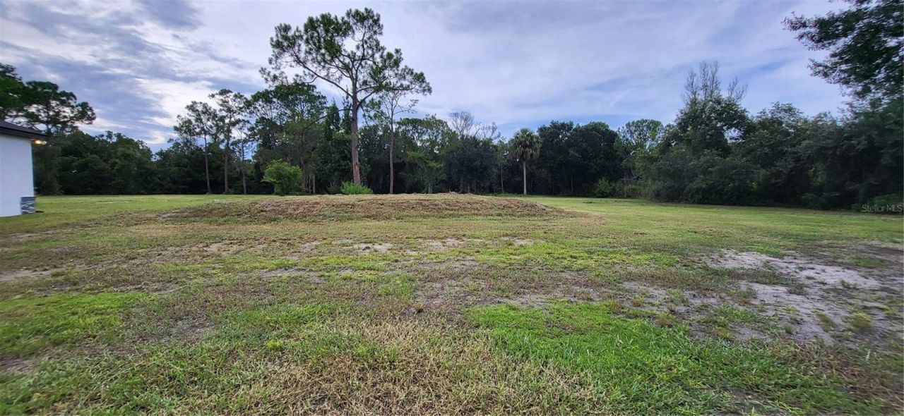 1685 E Osceola Road, Geneva, FL 32732 Photo