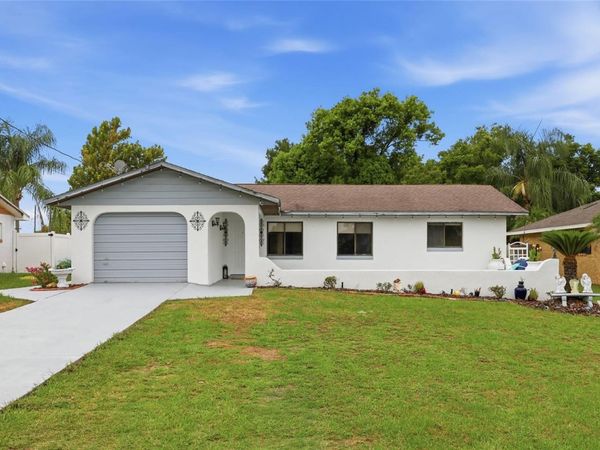 1025 PARK AVENUE, TAVARES, FL 32778