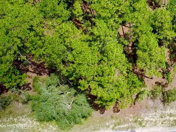 3861 W FIREWOOD LOOP , CITRUS SPRINGS, FL 34433