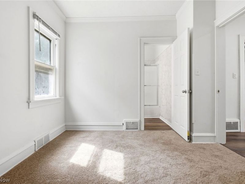 10113 Loretta Avenue, Cleveland, OH 44111 Photo 20