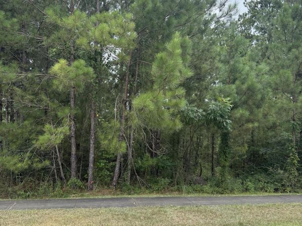 42 S Of Fields, Hattiesburg, MS 39402