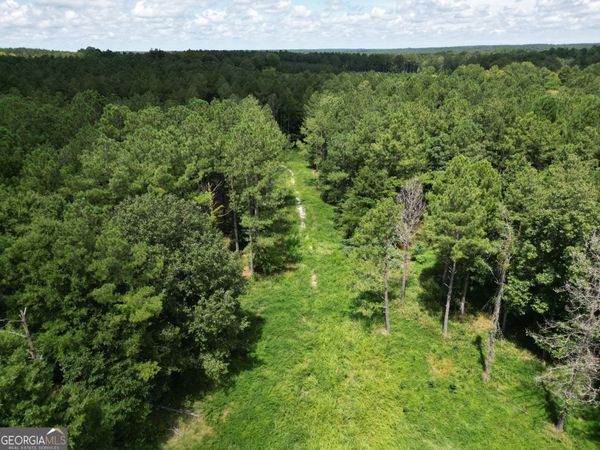 111 ACRES Lillian Strong Road, Carlton, GA 30627