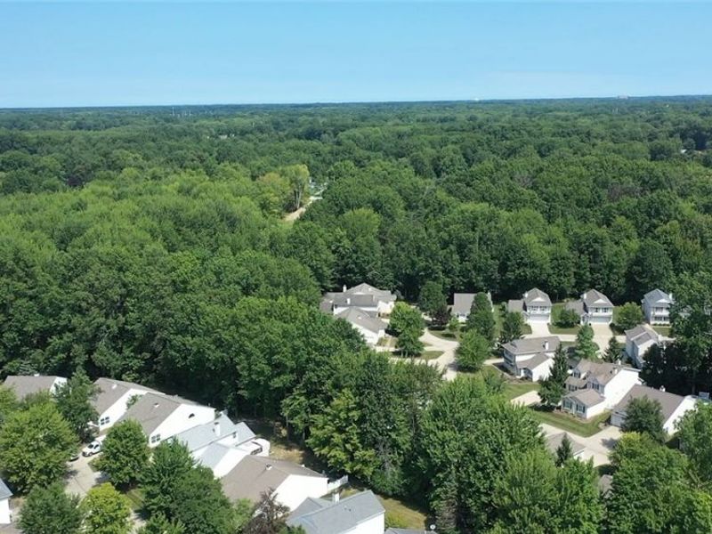 9020 Ashwood Court , Olmsted Falls, OH 44138 Photo 43