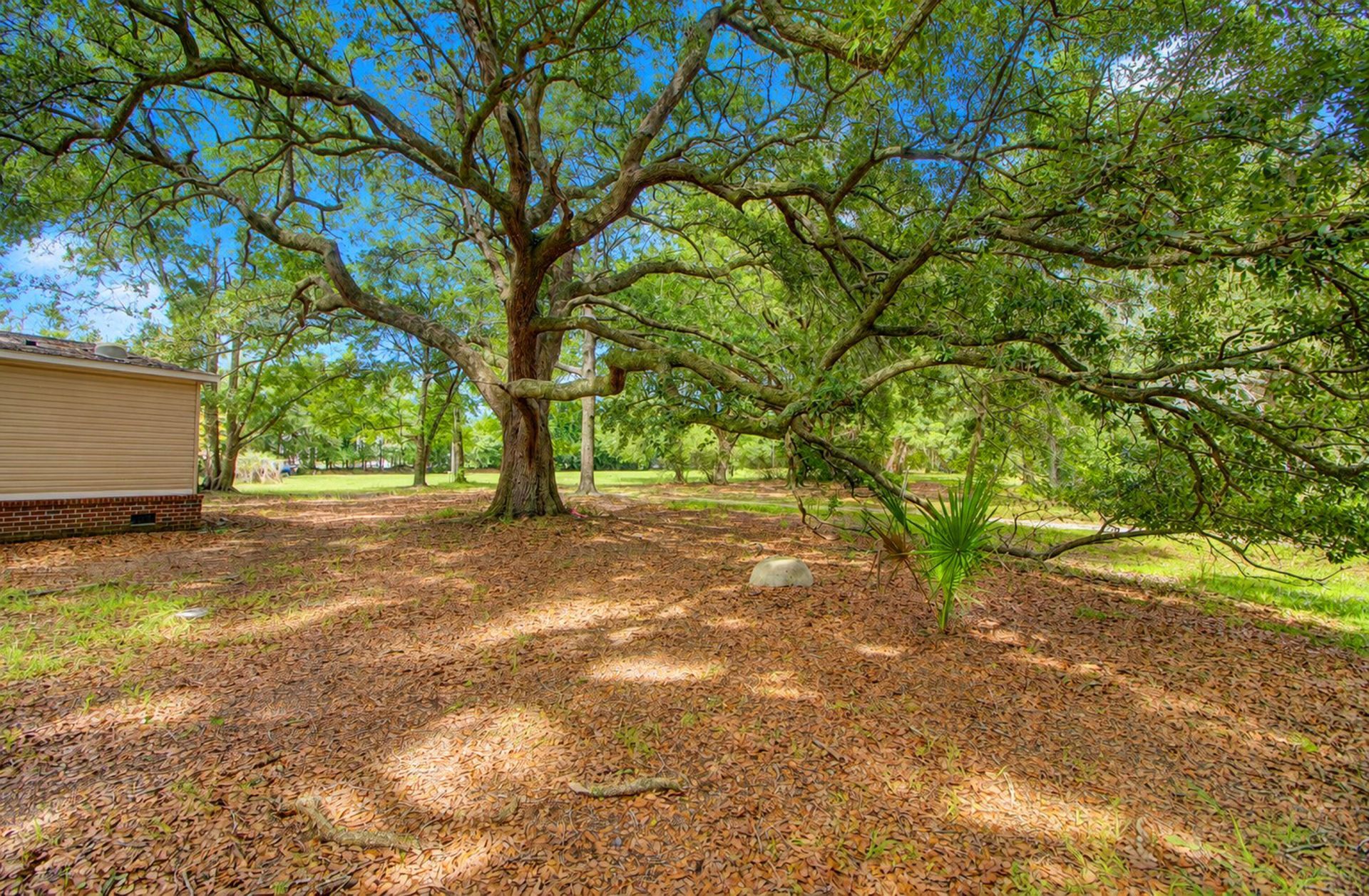 1654 Boyd N Hayes Road Photo 25