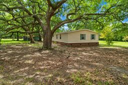 1654 Boyd N Hayes Road photo 4