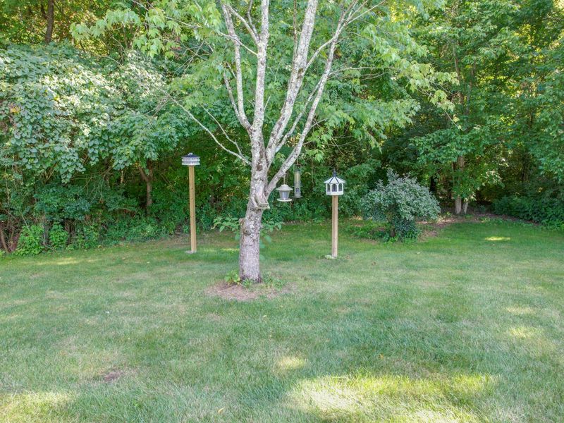 10472 Walnut Ridge Road, Walton, KY 41094 Photo 9