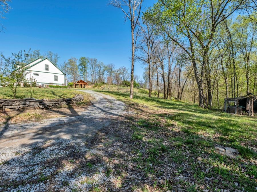 Property Image 46