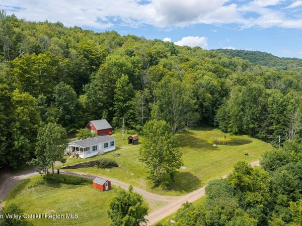 195 Berry Hill Road, Andes, NY 13731