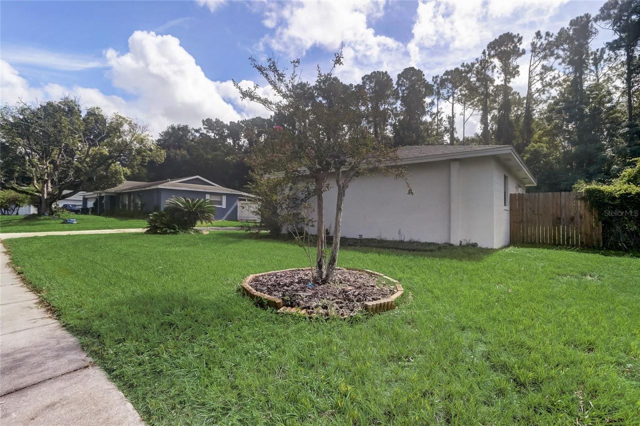 8691 Contoura Drive, Orlando, FL 32810 Photo